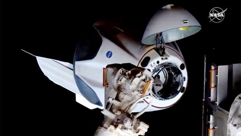 Стыковка Crew Dragon с МКС, удар головой и реакция соцсетей на приключения американцев в космосе