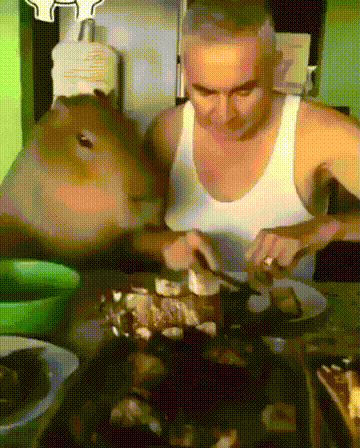 С одной вилки