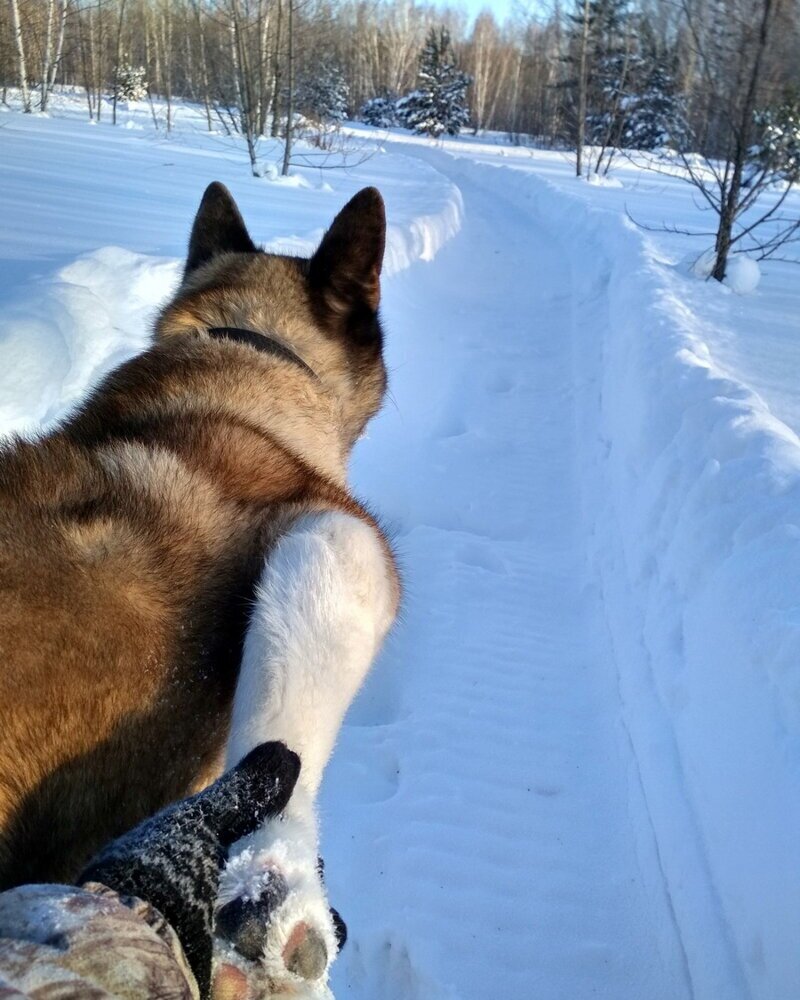 Ударим позитивом по... негативу!