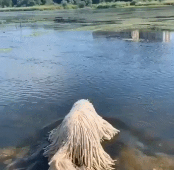 Настоящий монстр