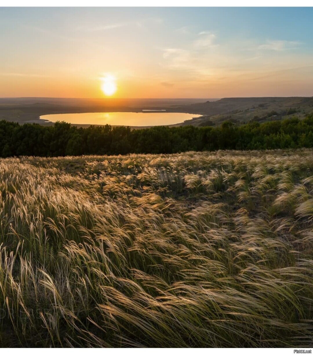 Фёдор Лашков ковыль степь