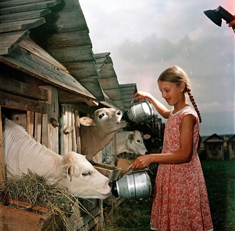 Фотографии былых времён. СССР  50-х годов прошлого века