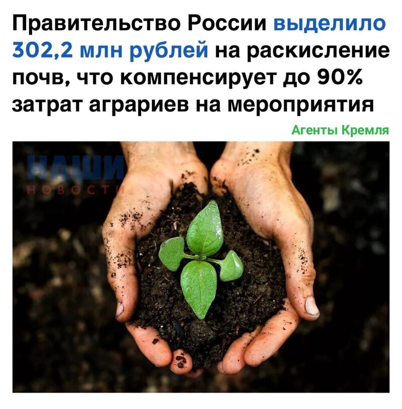 Политические комментарии из инета