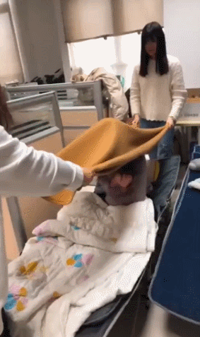 Эксперимент с прической