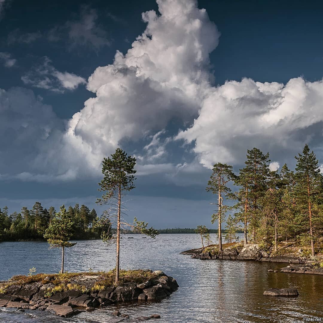 Karelia. Энгозеро Карелия. Ковдозеро Карелия. Северная Карелия Лоухский район. Ахвенлахти Карелия.