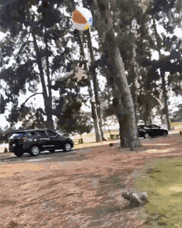 Гифки разные