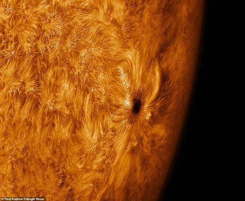 Делать детальные фотографии Солнца сложно, в основном из-за явления, которое называется астрономической видимостью и представляет собой размытость и мерцание небесных тел