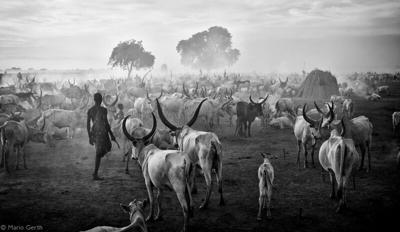 Пастухи, Южный Судан. (Фото Mario Gerth):
