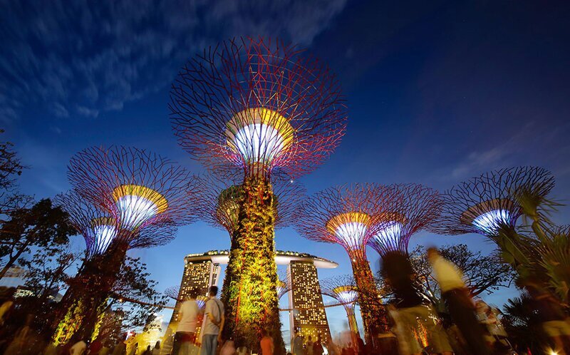 Gardens by the Bay: футуристические прибрежные сады в Сингапуре