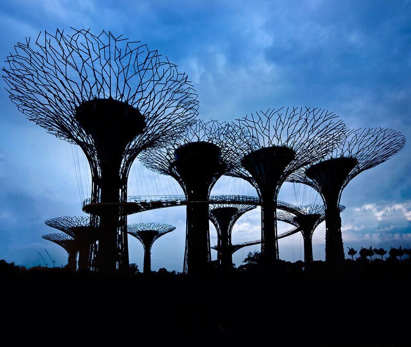 Gardens by the Bay: футуристические прибрежные сады в Сингапуре