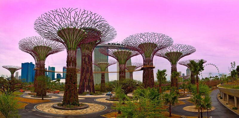 Gardens by the Bay: футуристические прибрежные сады в Сингапуре