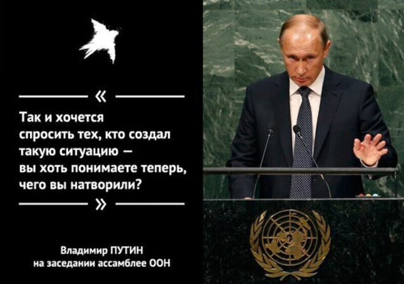 Вы хоть понимаете чего вы натворили. Вы хоть понимаете теперь чего вы натворили. Теперь то вы понимаете что вы натворили.