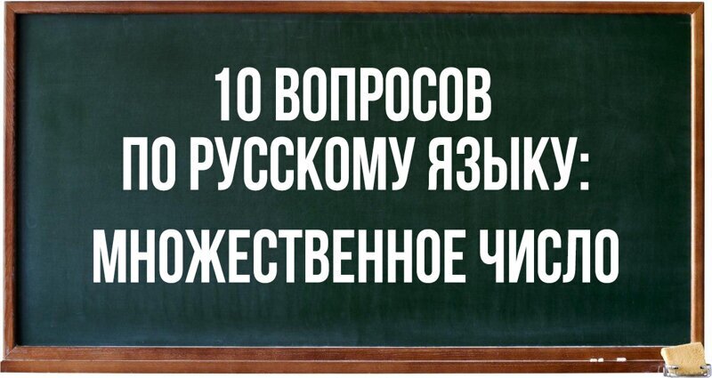 10 вопросов по русскому языку: образуйте множественное число
