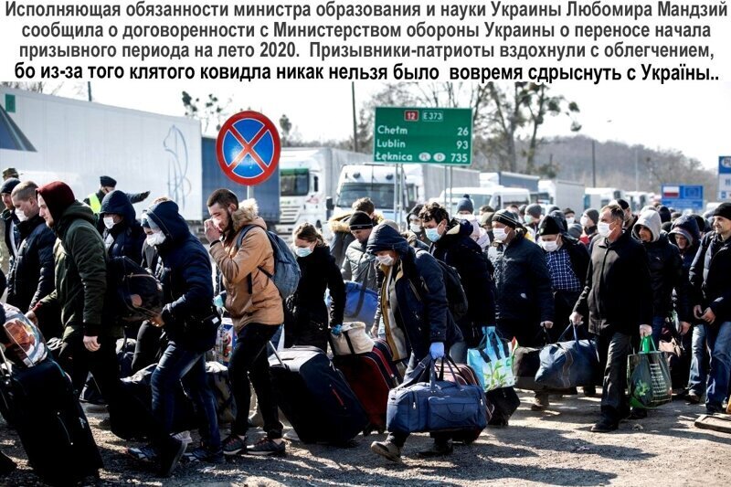 Политические комментарии из инета