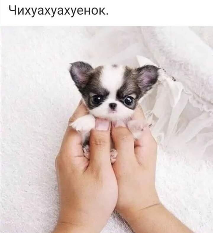 Смешные картинки и не очень