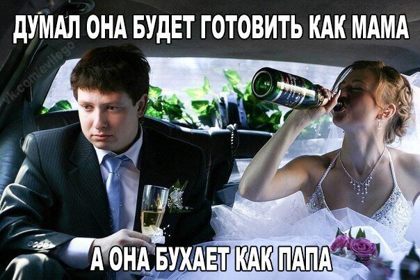 Смешные картинки