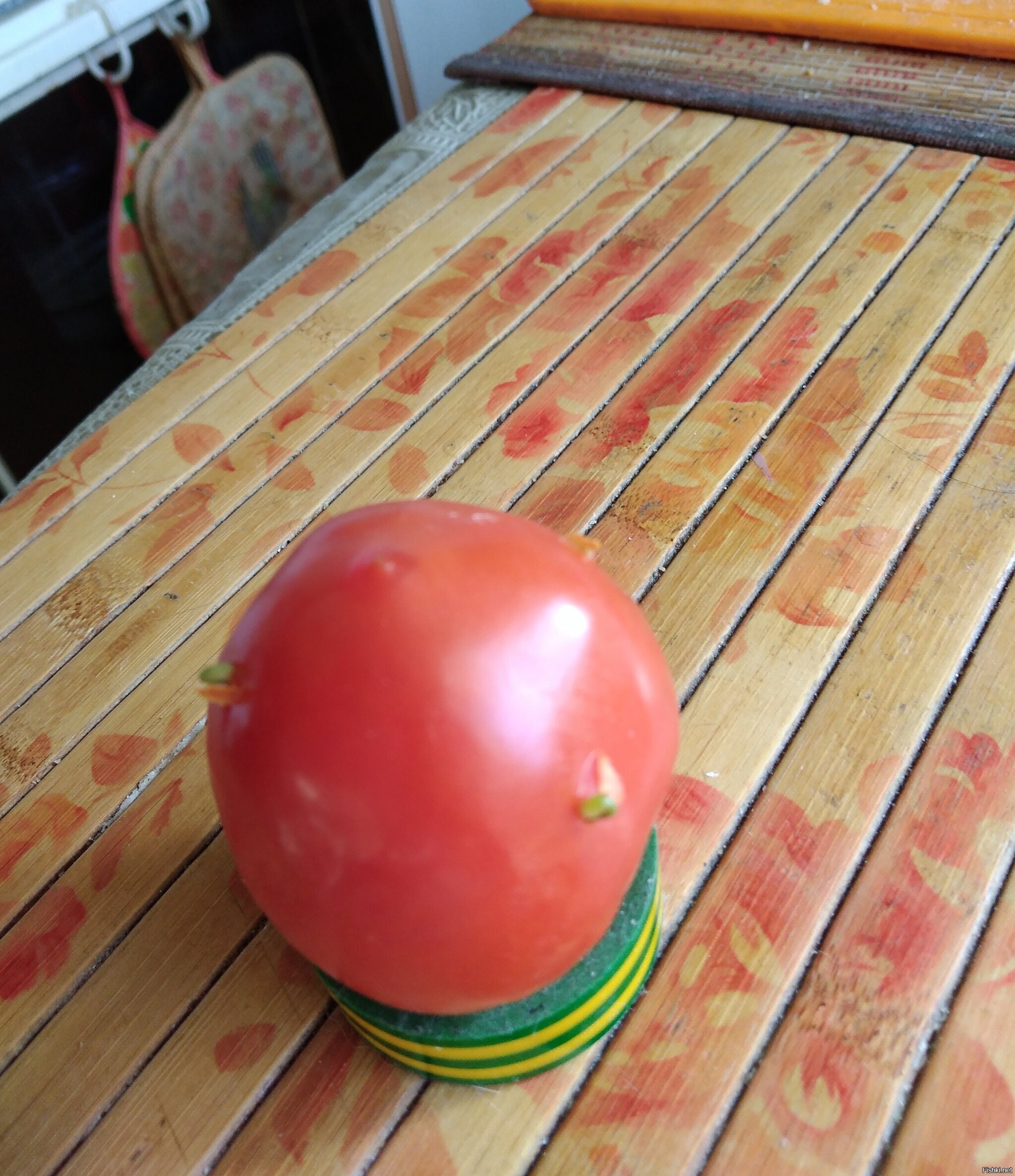 Оставил на подоконнике монеткинский помидор