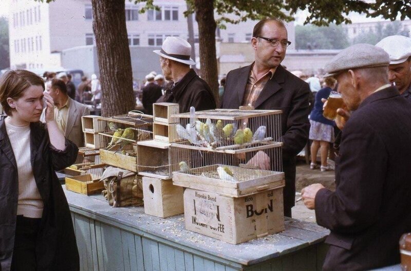 г. Москва,Птичий рынок, 1973 г.
