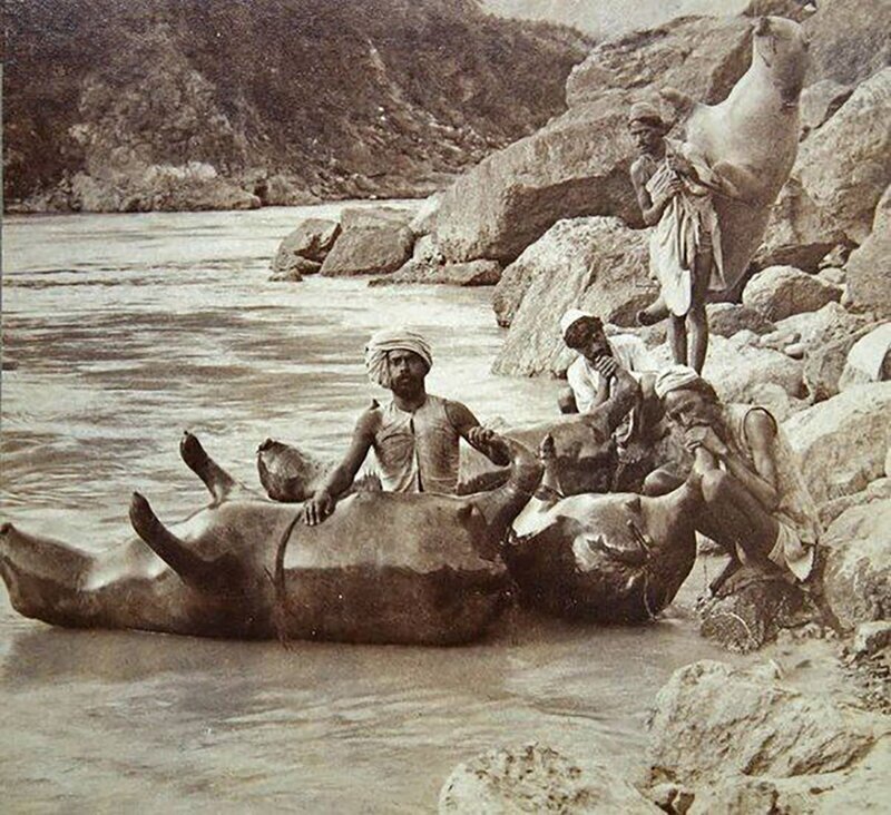 Надувные лодки из бычьих шкур, Северная Индия, 1900 г