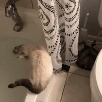 Гифки разные