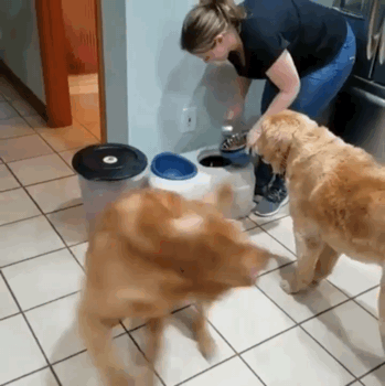 Гифки разные