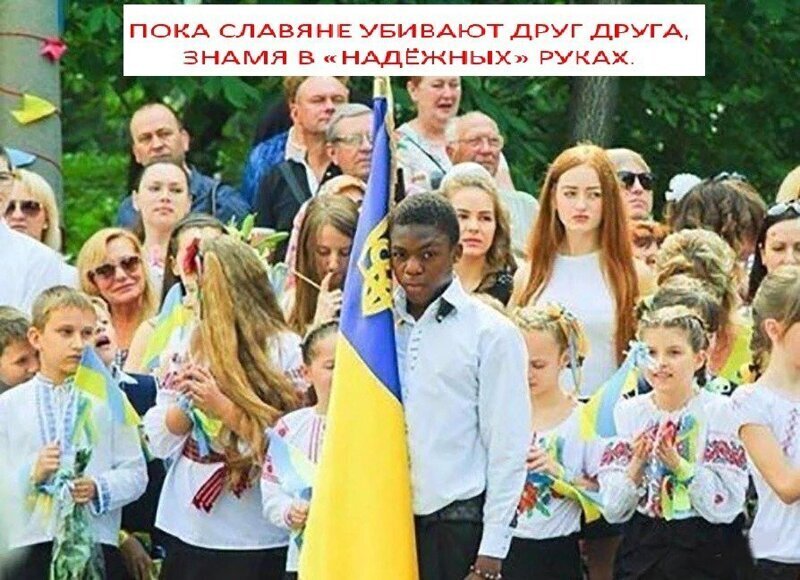Политические комментарии из инета
