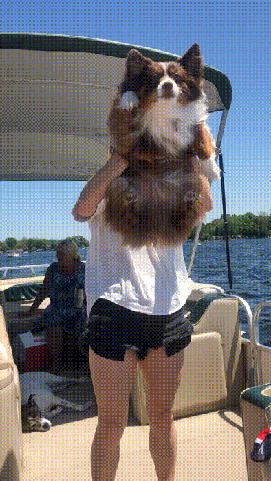 Навстречу попутному ветру