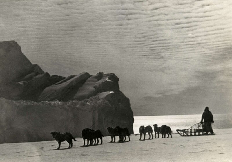 Большая антарктическая экспедиция Ричарда Е. Бэрда в 1930 году. Собаки с санями, типичный полярный пейзаж.