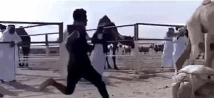 А вот фиг ты угадал