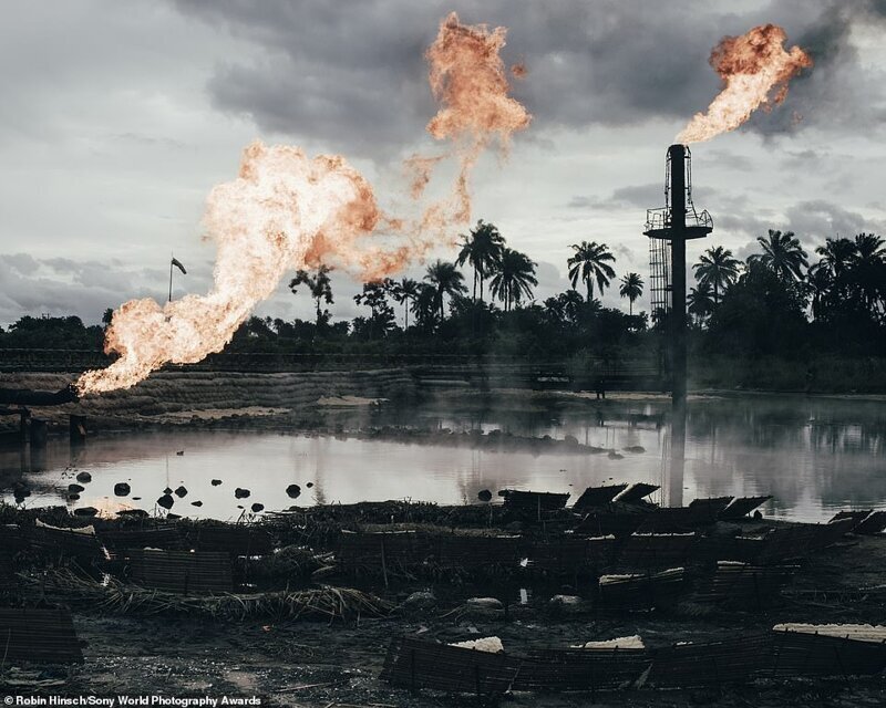 Влияние нефтяной промышленности на экосистему дельты Нигера в Нигерии. Робин Хирш, Германия