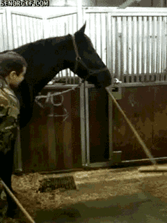 Гифки разные