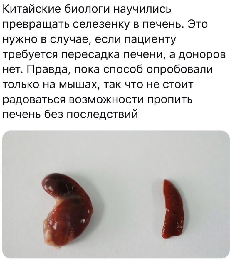 Политические комментарии из инета