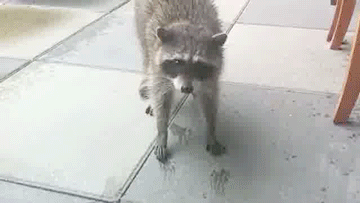 Гифки разные