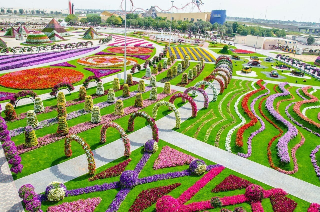 Miracle garden фото