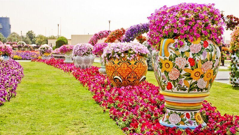 Цветочный парк Dubai Miracle Garden