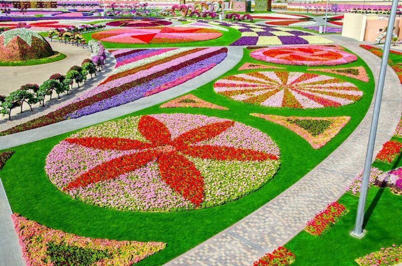 Цветочный парк Dubai Miracle Garden