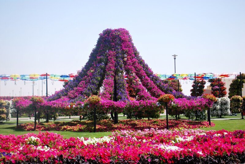 Цветочный парк Dubai Miracle Garden