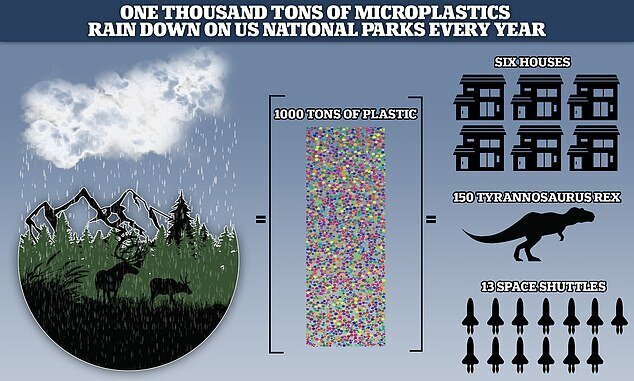 В национальных парках США обнаружили следы пластиковых дождей
