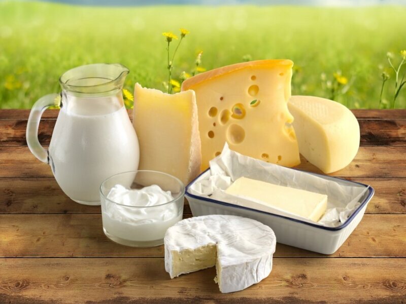​50 интересных фактов о молоке и молочных продуктах