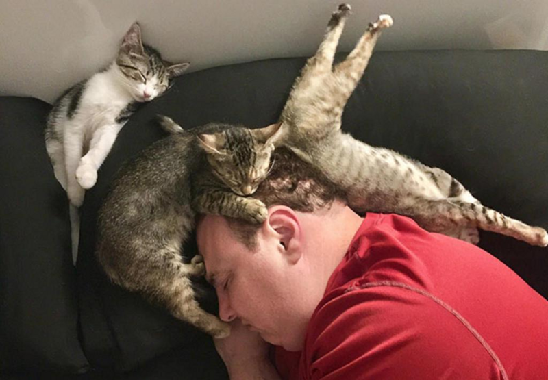 Зачем кошки спят на человеке? 5 причин