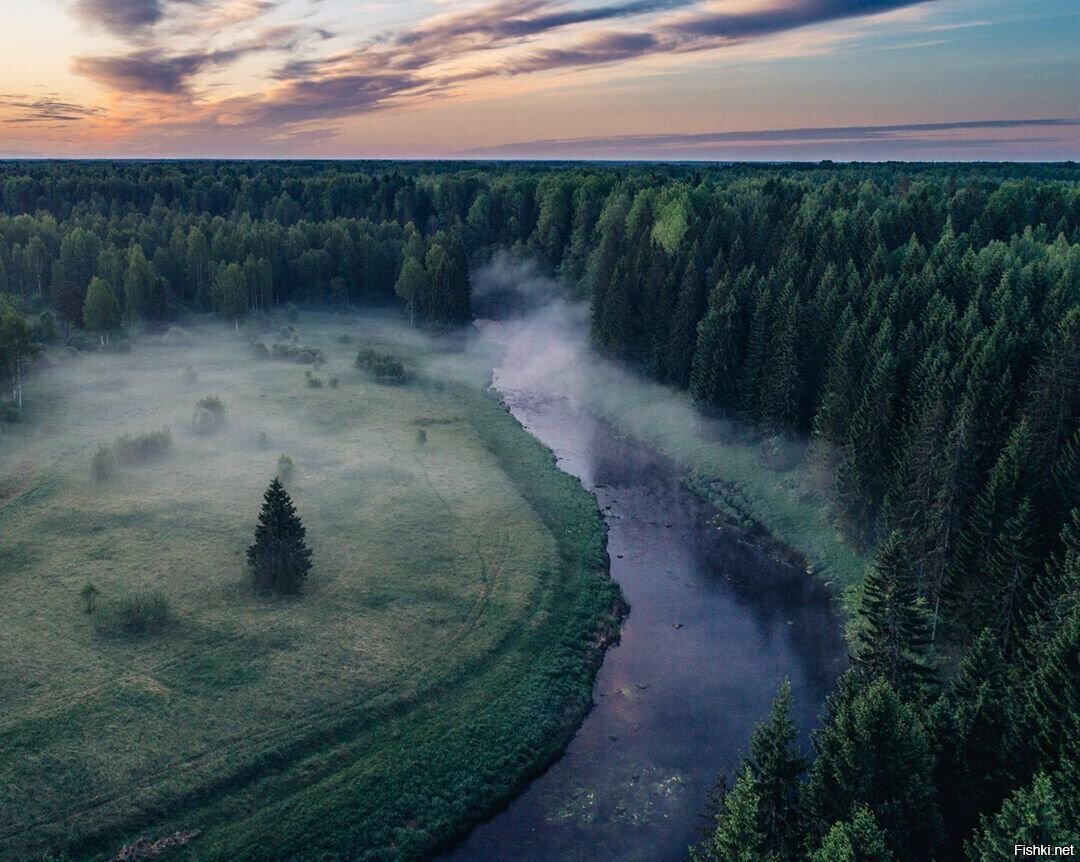 природа ленинградской области фото
