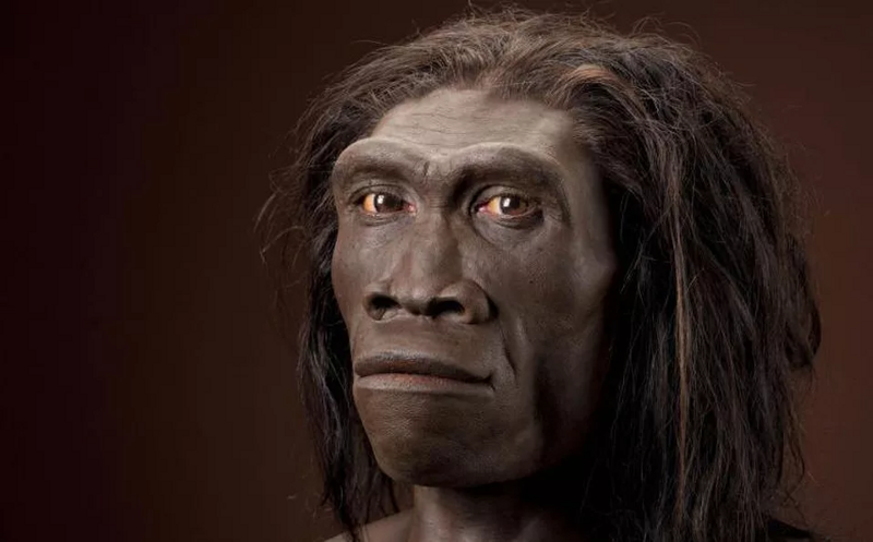 Homo Erectus =синантроп=питекантроп