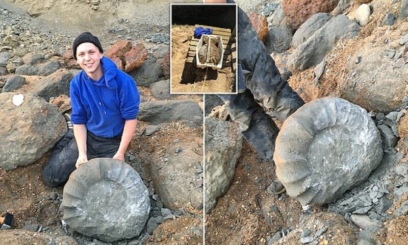 Британские студенты нашли на берегу древнего гиганта