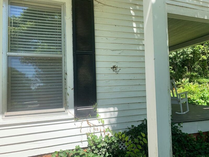 На стене рядом с окном хозяева дома, семья Паркеров, обнаружила скопление пчёл