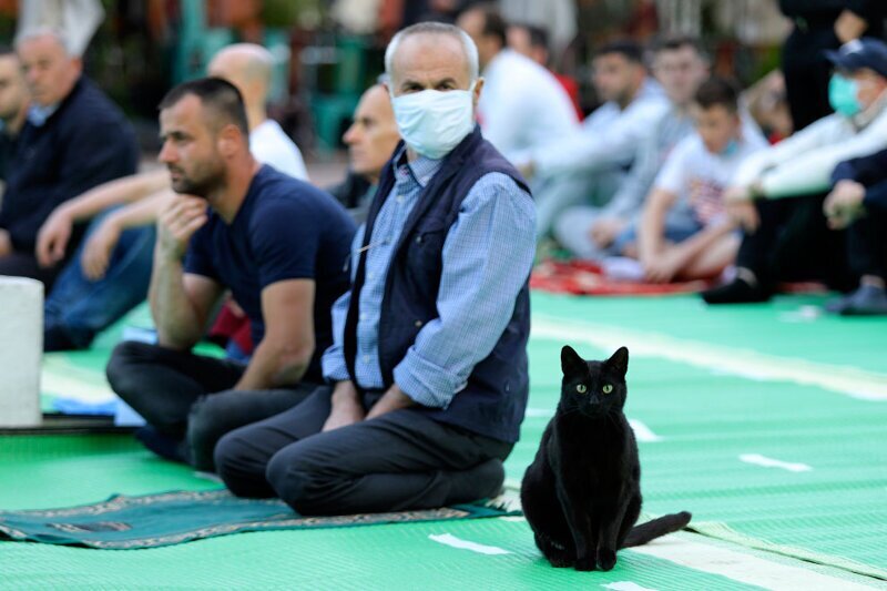 Черный кот участвует в Ид аль-Фитр, который  происходит в конце месяца Рамадан, в первый день 10-го месяца исламского лунного календаря. (Фото Gent Onuzi):