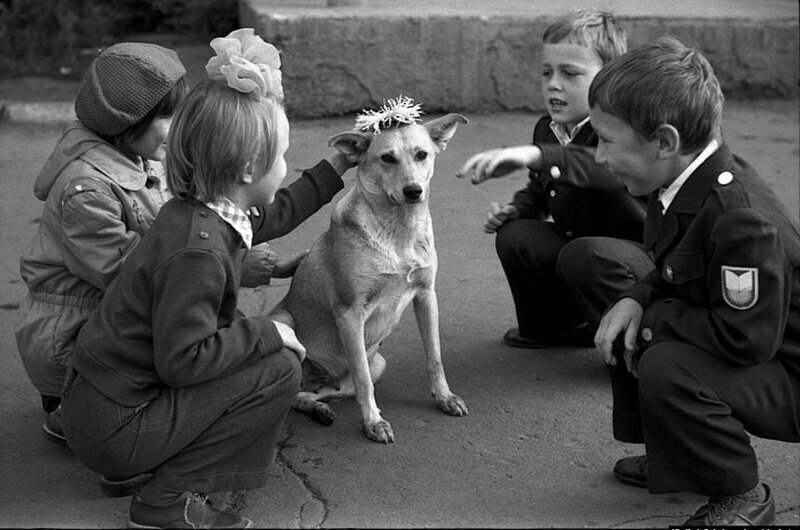Школьники надевают венок на собаку в первый день школы. Новокузнецк, 1983 год.