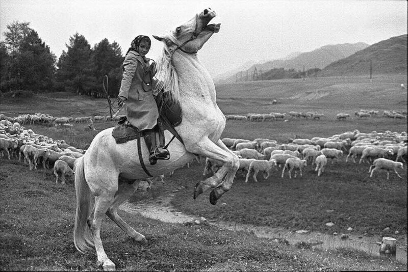 Девочка пасет овец в Алтайских горах, 1980 год