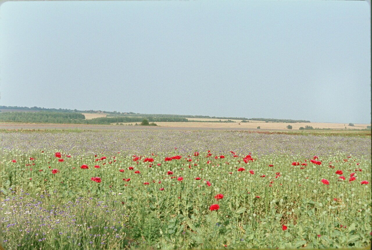 Poly советская ул 78 фото