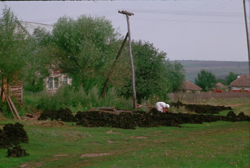 Фотографии былых времён. СССР 1964 год