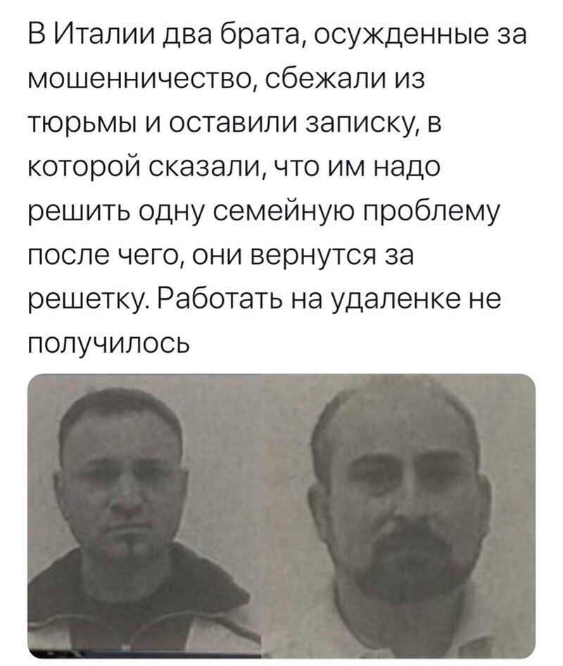Политические комментарии из инета